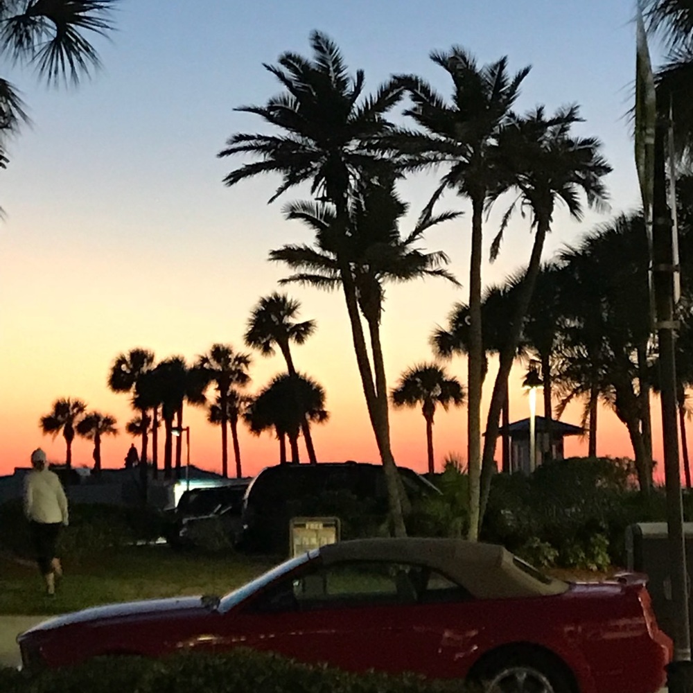 Meet your Posher, Josie